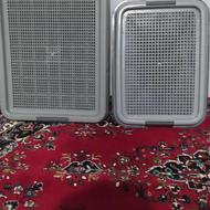 سینی اداره سگ گردنی قلاده شورتک