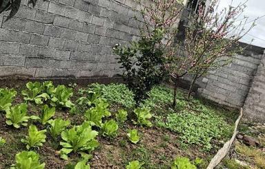 فروش ویلا 700 متری/ با قیمت ویژژژژه / سنددار