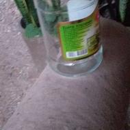 شیشه خالی ترشی