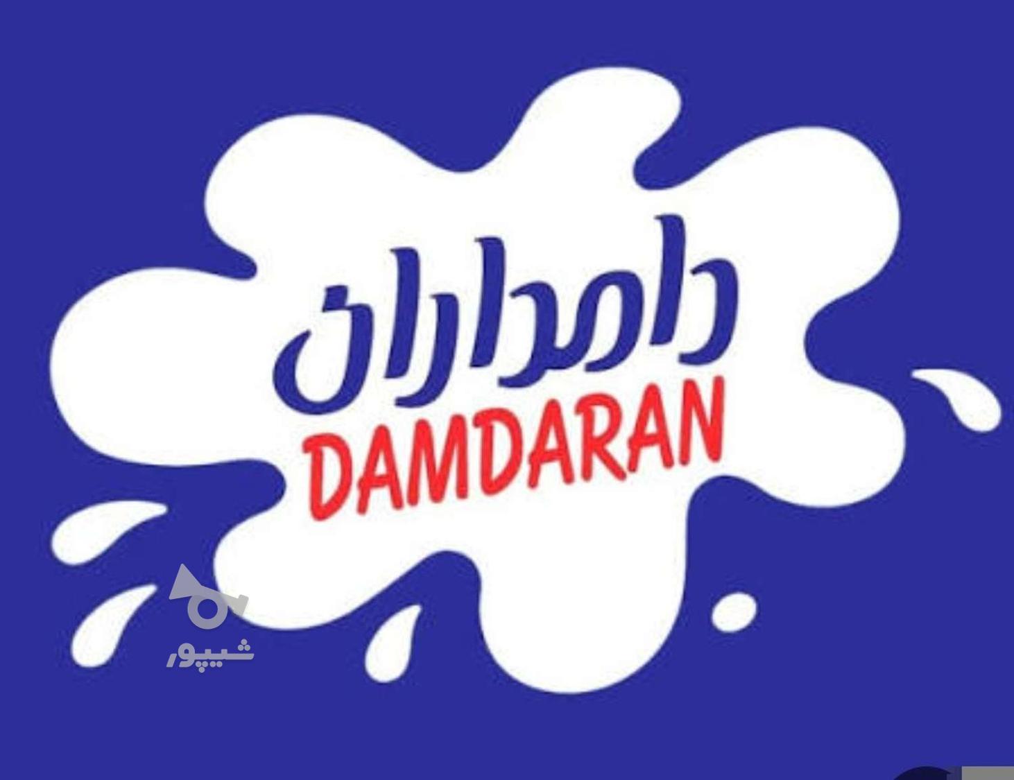 راننده مجرب و با انگیزه جهت پخش لبنیات - undefined