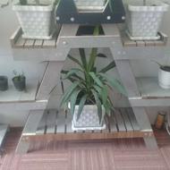 استند گل و گیاه زینتی...