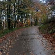 فروش یک قطعه زمین 1200متری با یک واحد ساختمان 88متر با سوئیت