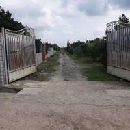 فروش زمین 250متری بصورت شرایطی در جاده کیاکلا