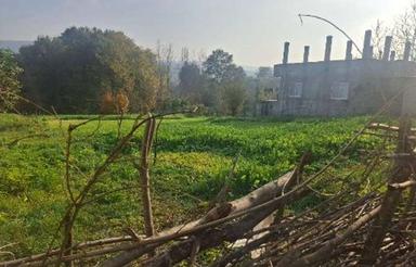 فروش زمین مسکونی 1500 متر در کلیجان رستاق