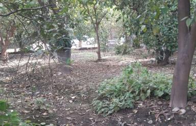 3,000 متری سنگستان