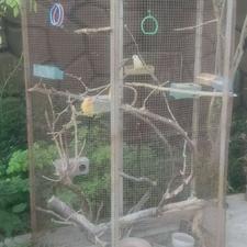 قفس انواع پرنده