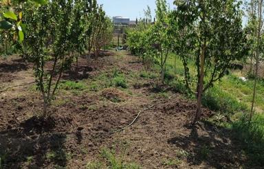 باغ باورس(عباس اباد)20000متر