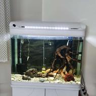 آکواریوم دلسا