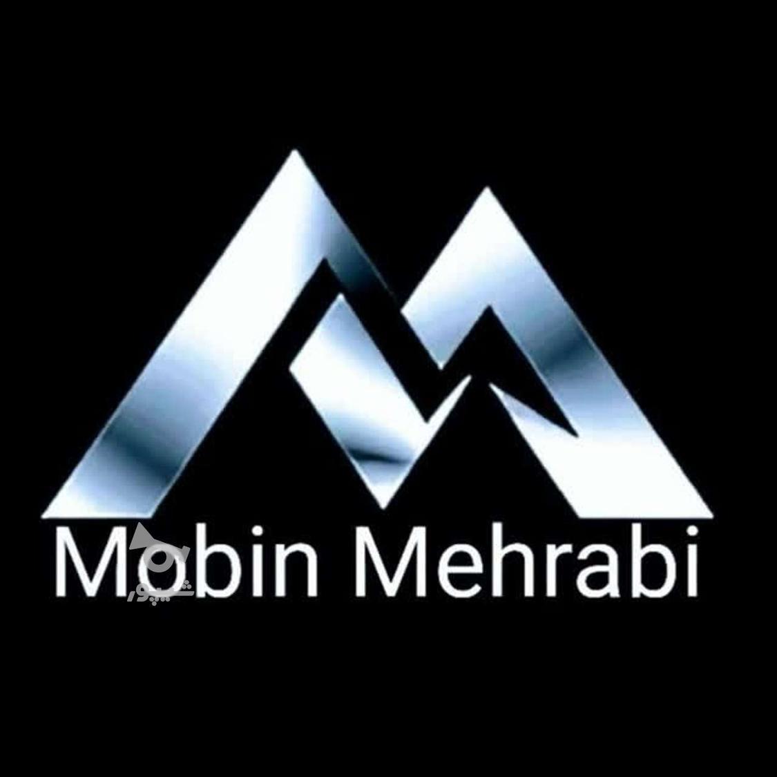 طراح مسلط بر کورل درایو. - مبین محرابی