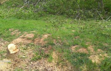 فروش زمین به قیمت