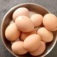 تخم مرغ محلی تخم بلدرچین تازه هم موجود است هر عدد3500