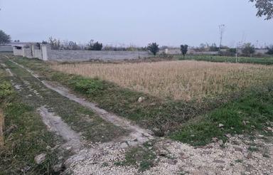 200متر زمین گرجی کلا