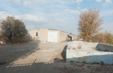 مرغداری گوشتی