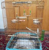 قفس پرنده سایز بزرگ در حد
