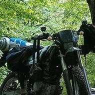 تریل روان بدون خرج مدارک کامل