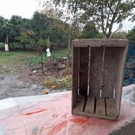 جعبه پرتقال