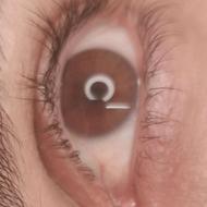 مدل بن مژه و شنیون