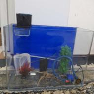 آکواریوم شیشه خم