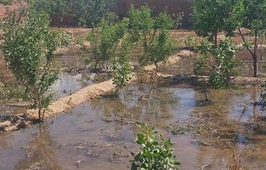 یک قطعه زمین ویلای