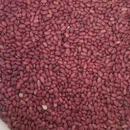 لوبیا قرمز درجه یک تازه