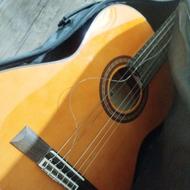 گیتار کلاسیک اریا اصل کاملا نو بدون استفاده