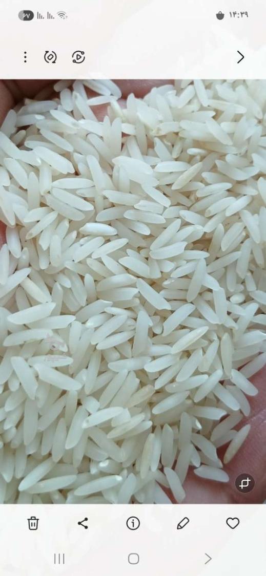 برنج هاشمی 265و لاشه 174و فجر 175ت