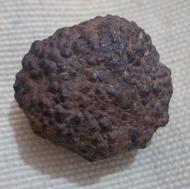 شهابمهمانکهکشان