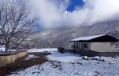 زمین مسکونی تیلم