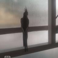 فروش عروس هلندی