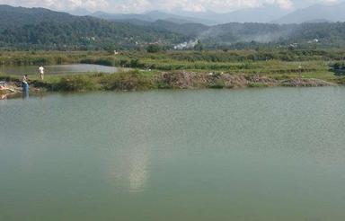 استخر پرورش ماهی-مناسب کشت برنج و سایر فعالیت های کشاورزی