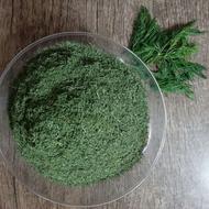 فروش شوید خشک شده