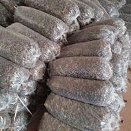 فروش عمده خرما ضایعاتی