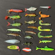 طعمه اسپین اردک ماهی