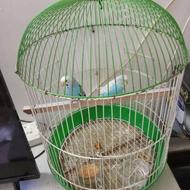 قفس پرنده بزرگ معاوضه