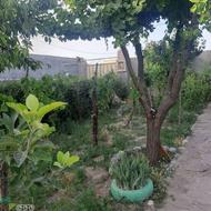 رهن واجاره حیاط ویلایی درقلعه نو