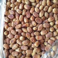 خرمای زاهدی نو