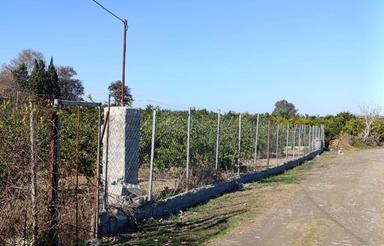 فروش باغ مرکبات 2000 متر2کله کنتوربرق+چاه آب در ولشکلا