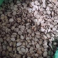 تخم هندوانه