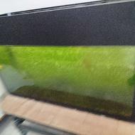 آکواریوم با ماهی بفروش میرسد