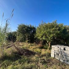 فروش زمین کشاورزی 300 متر در مرکز شهر