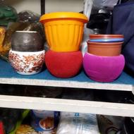 تعدادی گلدان گل مخملی