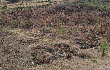 زمین تفکیک شده