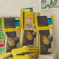 بذر کلزا رقم تراپر آلمان