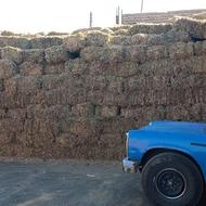 علف سر پیاز پرس شده