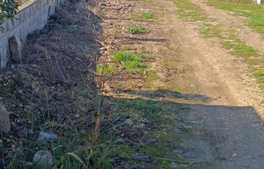 فروش زمین مسکونی 873 مترجاده دریا مهستان