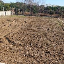 فروش زمین مسکونی 250 متردرجاده دریا روستای اسفندان