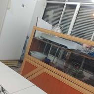 همکار جگری بصورت شراکت