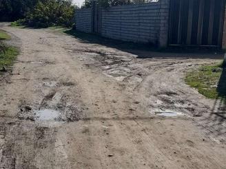 زمین ویلایی باویو طبیعت