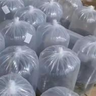 فروش ماهی از یک بندی تا سه بندی