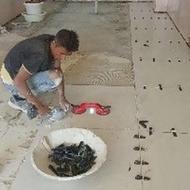 کاشی کاری وسرامیک کار وتخریب کار